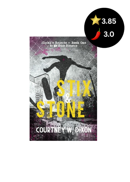 Book cover of 'Stix & Stone' by Courtney W. Dixon with a rating icon on a white background