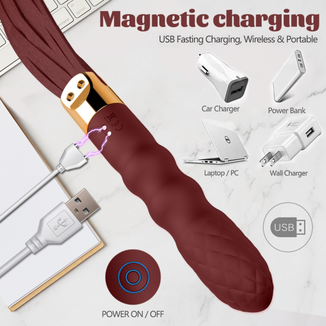 Vibrating Whip Toy