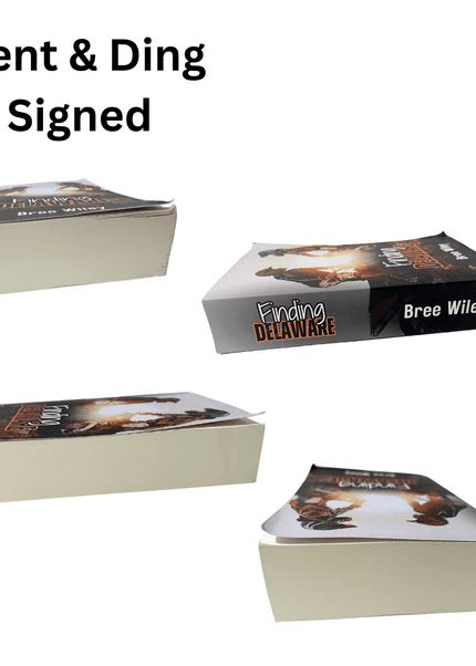 Dent & Ding (Fundraiser) - Heatwave Books