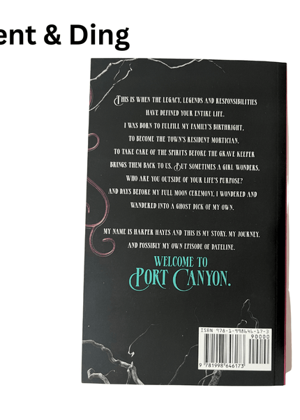Dent & Ding (Fundraiser) - Heatwave Books