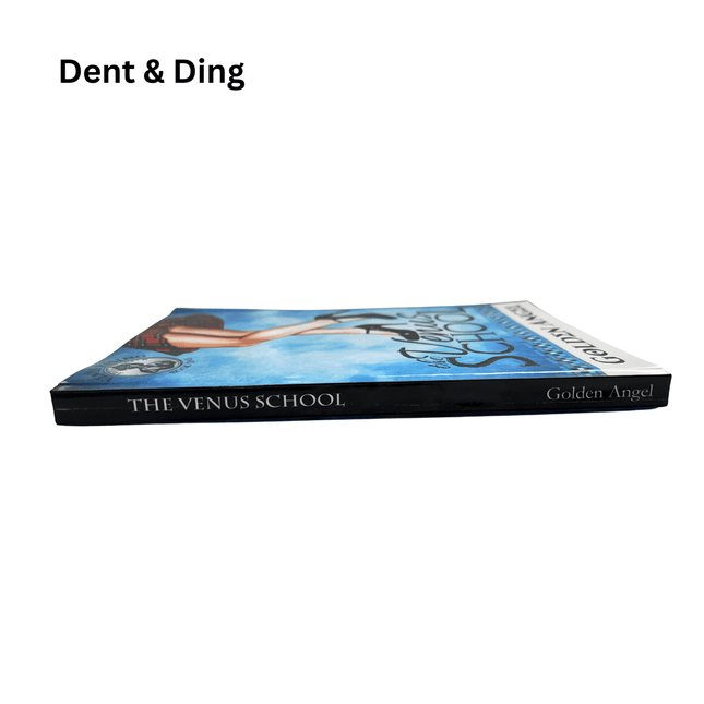Dent & Ding (Fundraiser) - Heatwave Books