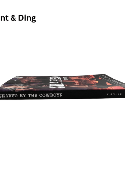 Dent & Ding (Fundraiser) - Heatwave Books