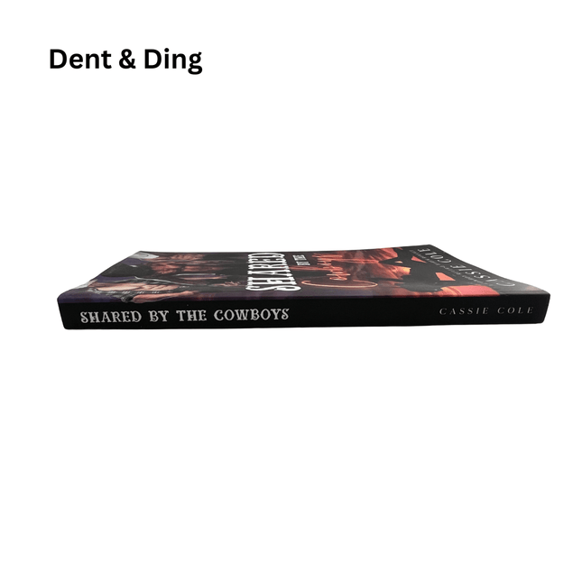 Dent & Ding (Fundraiser) - Heatwave Books
