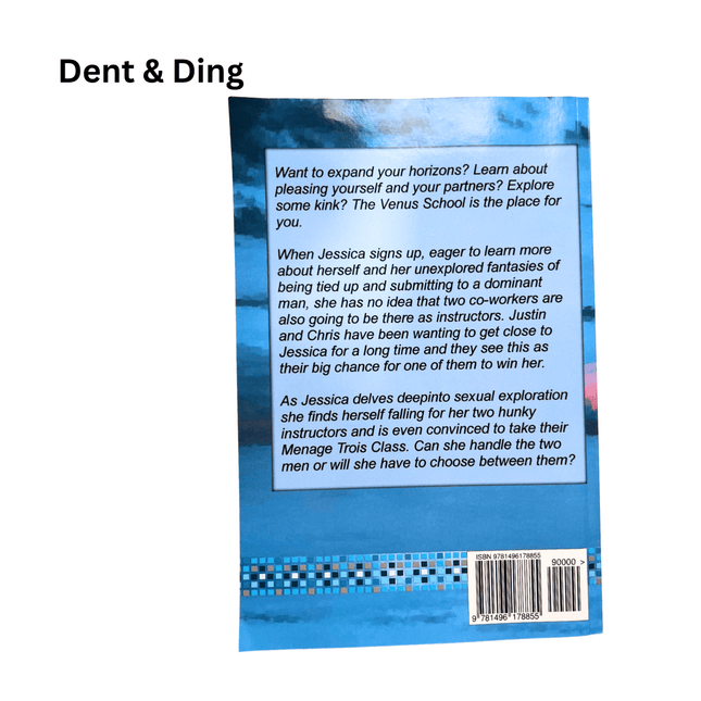 Dent & Ding (Fundraiser) - Heatwave Books