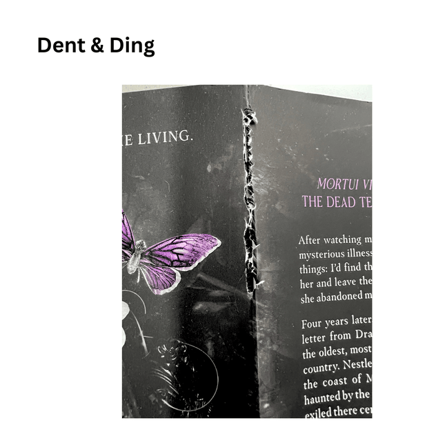 Dent & Ding (Fundraiser) - Heatwave Books