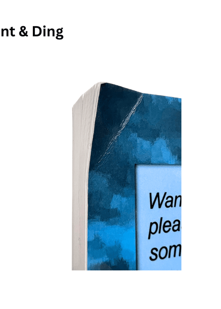 Dent & Ding (Fundraiser) - Heatwave Books