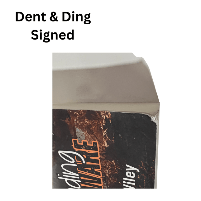 Dent & Ding (Fundraiser) - Heatwave Books