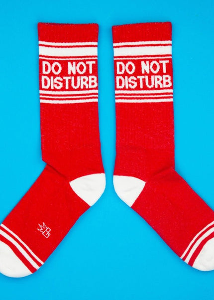 Do Not Disturb Socks - Heatwave Books