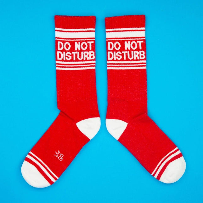 Do Not Disturb Socks - Heatwave Books