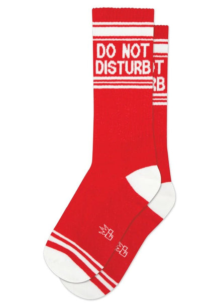 Do Not Disturb Socks - Heatwave Books