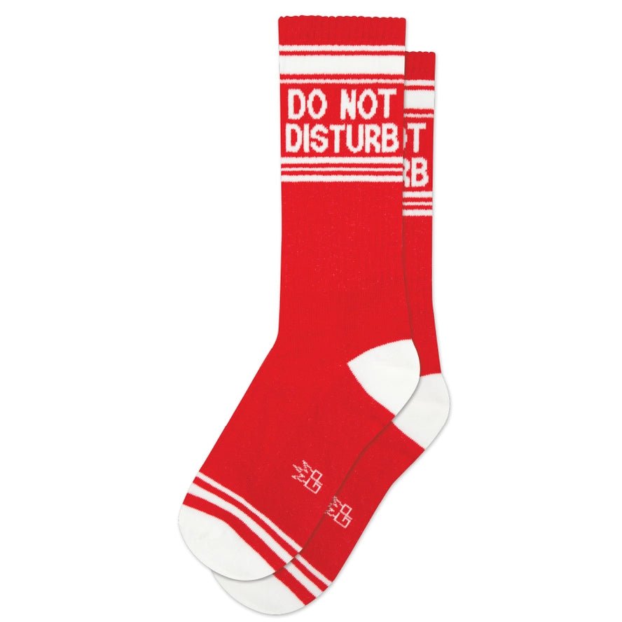 Do Not Disturb Socks - Heatwave Books