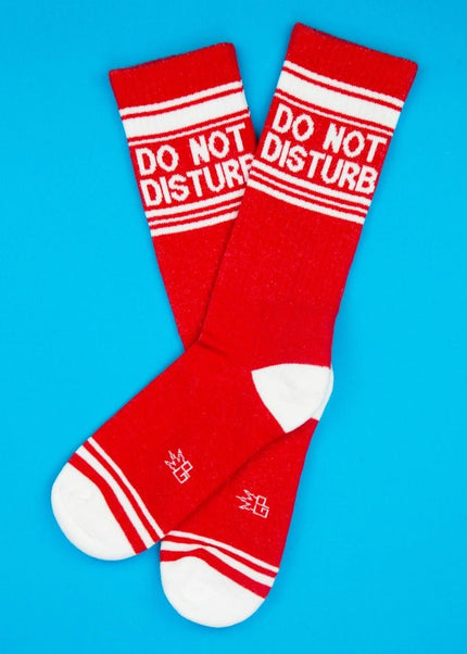 Do Not Disturb Socks - Heatwave Books