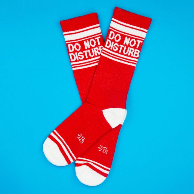 Do Not Disturb Socks - Heatwave Books