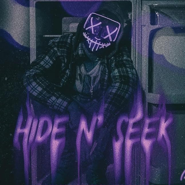 Hide n' Seek - Heatwave Books