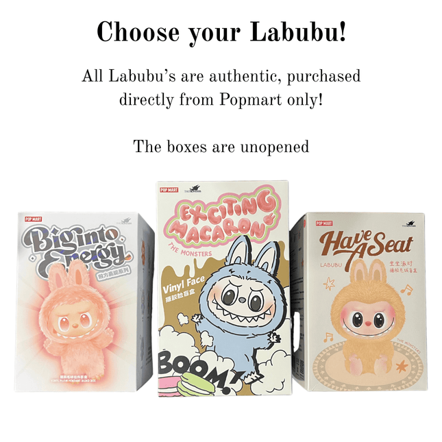 Labubu Book Box - Heatwave Books