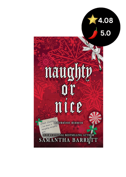 Naughty Or Nice - Heatwave Books