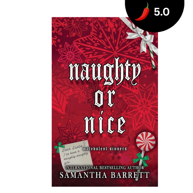 Naughty Or Nice - Heatwave Books