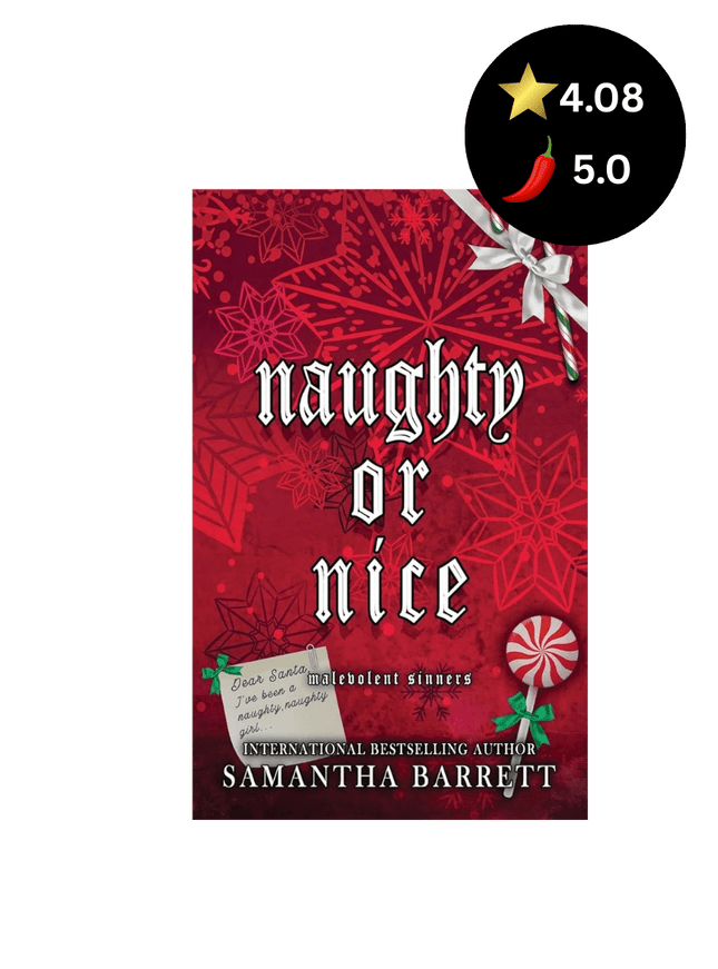 Naughty Or Nice - Heatwave Books