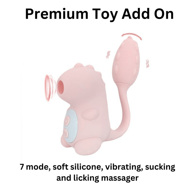 Premium Add on Toy - Heatwave Books