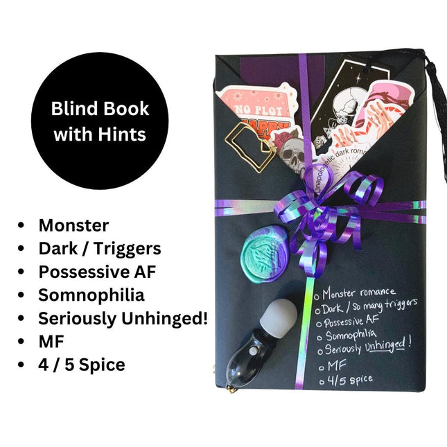 Spicy Blind Book with Hints #127 - Heatwave Books