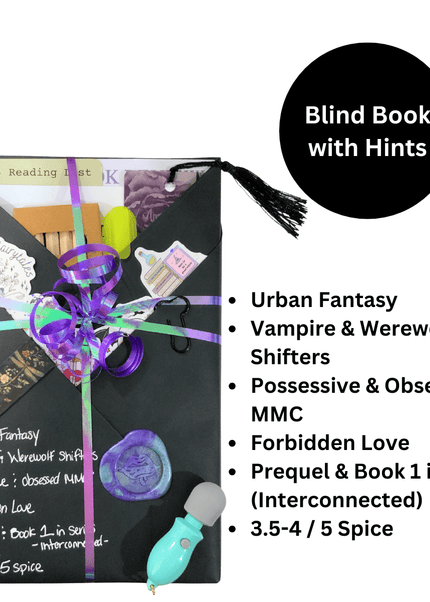 Spicy Blind Book with Hints 168 (2 Books) - Heatwave Books