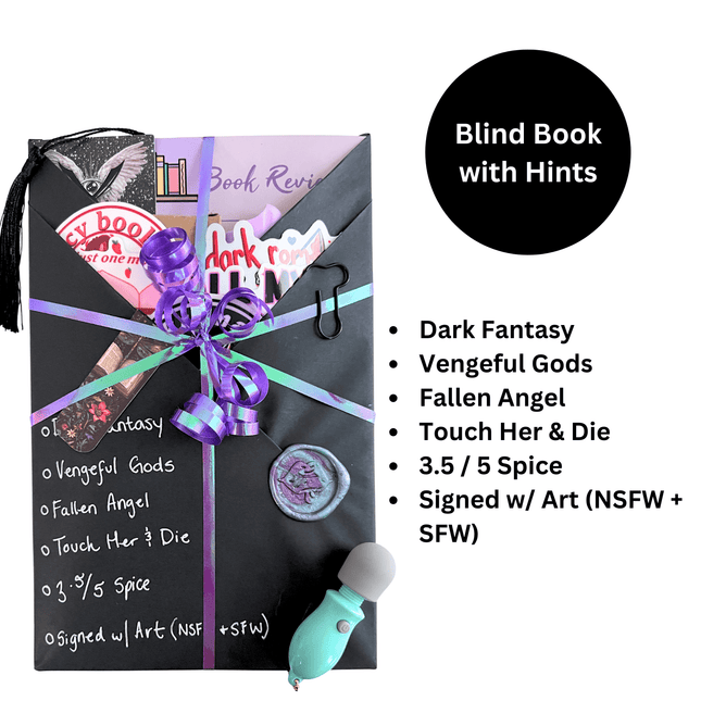 Spicy Blind Book with Hints 232 (Signed w/ Art+) - Heatwave Books