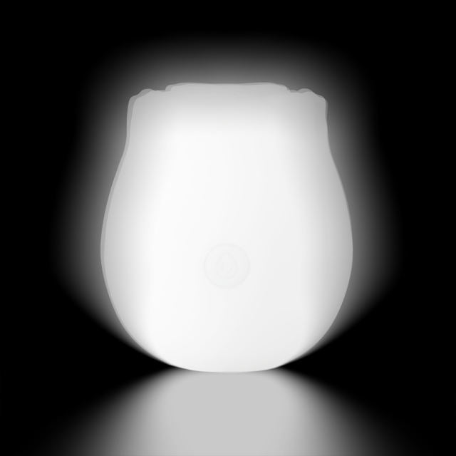 Spicy Book Box with Hints 194 (2 books, signed + art) - Heatwave Books