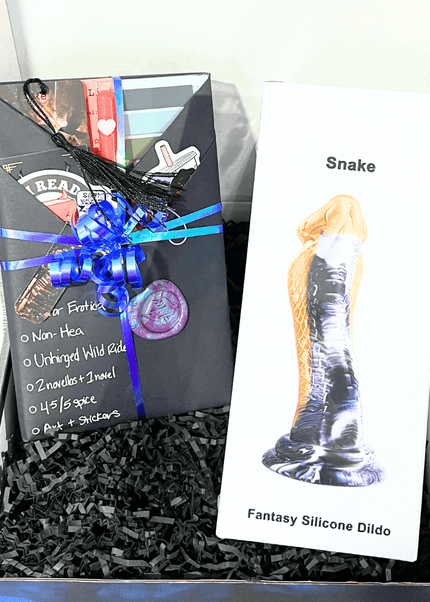 Spicy Book Box with Hints 201 (3 books, Signed w/ Art) - Heatwave Books