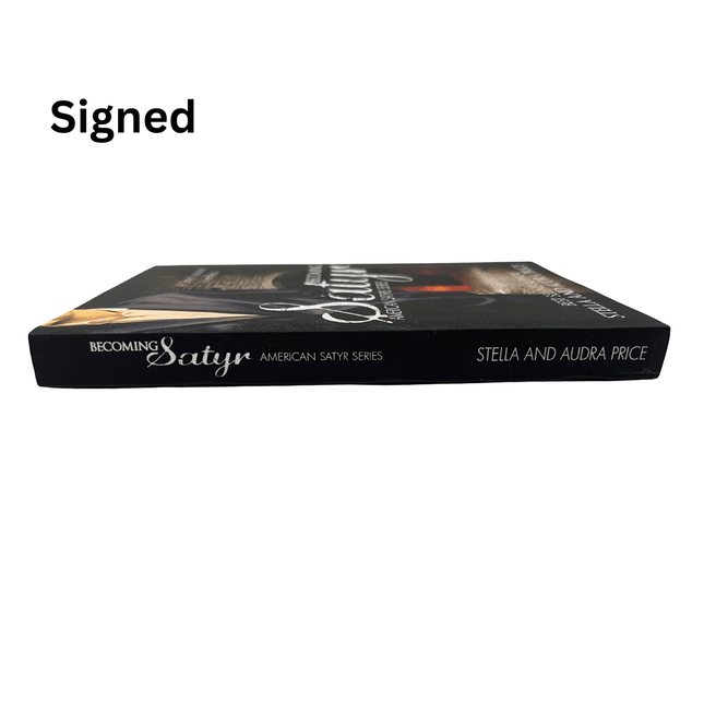 Stella Price 2 (Fundraiser) - Heatwave Books