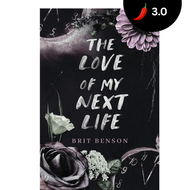 The Love of My Next Life - Heatwave Books
